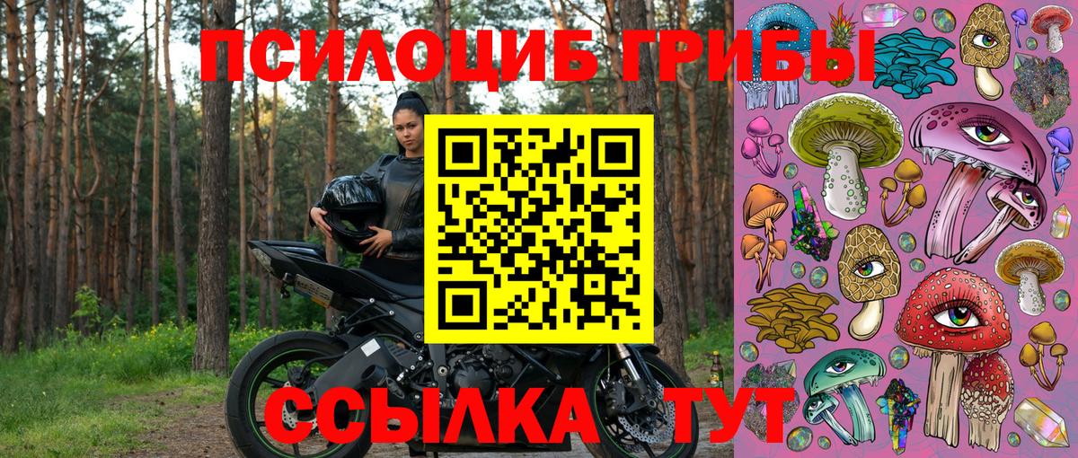 закладка  Псилоцибиновые грибы мицелий  Вход с VPN  Урус-Мартан 